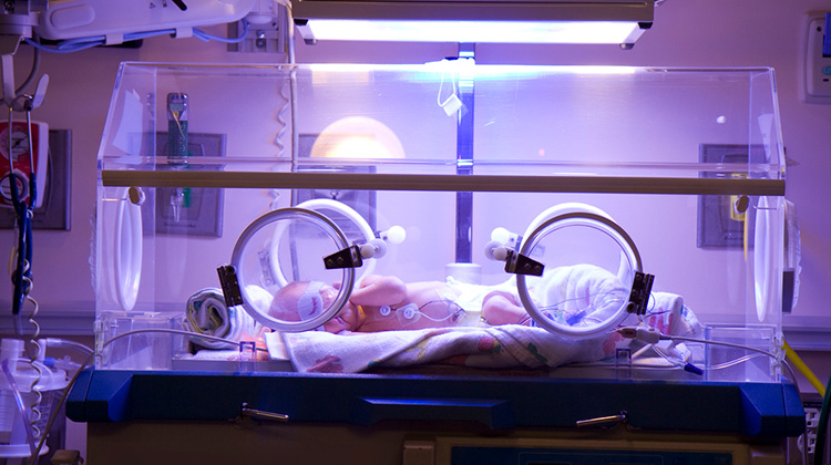 bebé dentro de incubador de cuidados intensivos